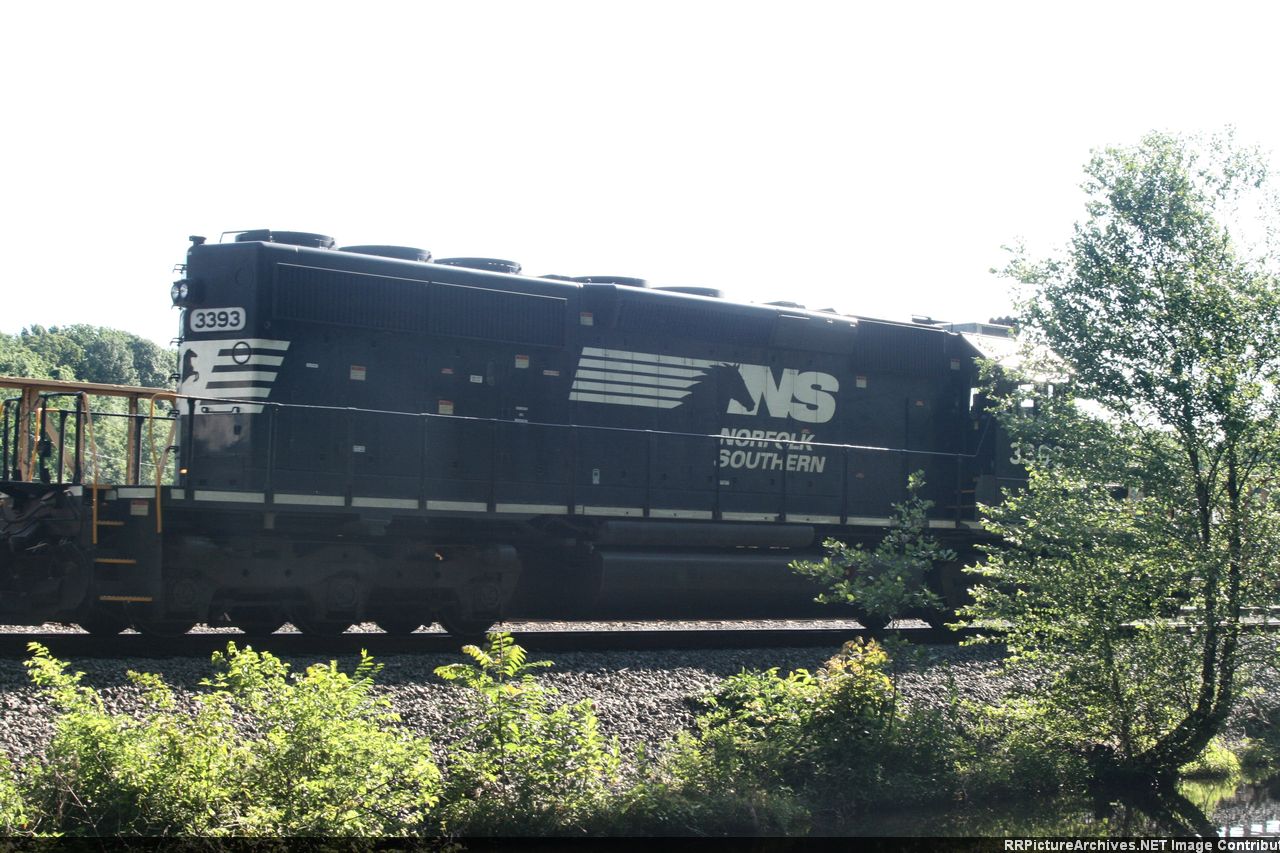 NS 3393